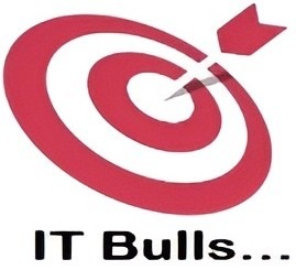 IT Bulls Logo